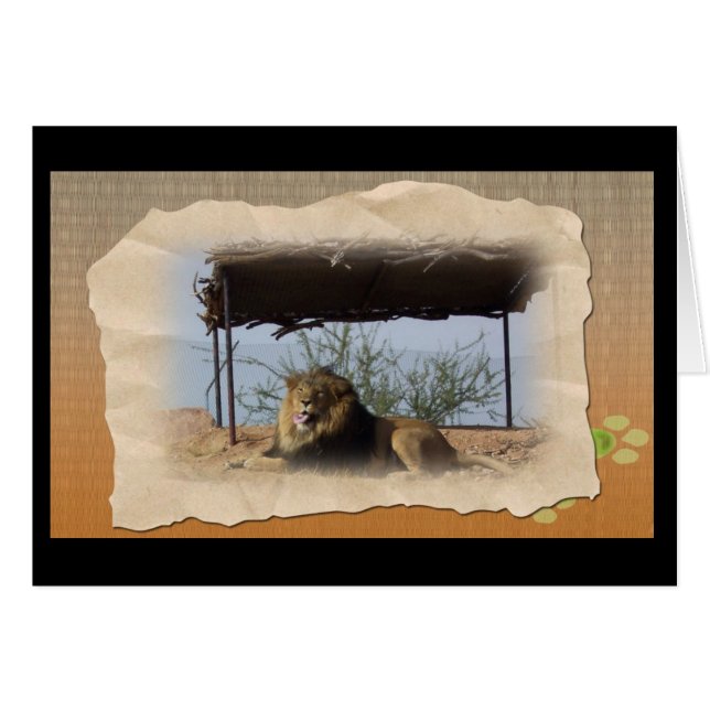 間抜けなライオン (正面横)