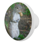 間抜けなリス セラミックノブ (右)