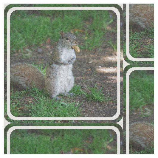 間抜けなリス ファブリック (クローズアップ)