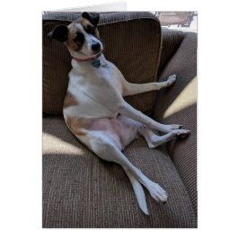 間抜けな犬カード-ブランク中