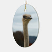 間抜けな鳥の写真のだちょうの顔の頭部のクローズアップ セラミックオーナメント (左)
