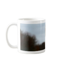 間抜けな鳥の写真|のだちょうの顔の野性生物の写真