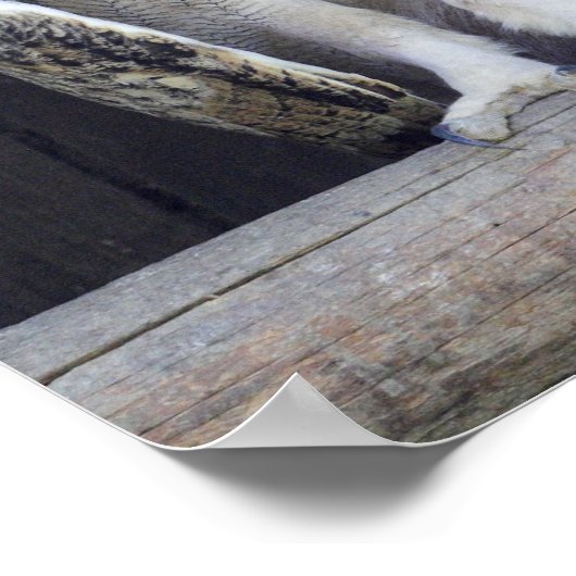 間抜け質問 ポスター (角)