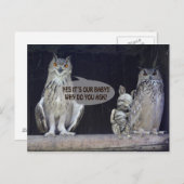 間抜け質問 ポストカード (正面/裏面)