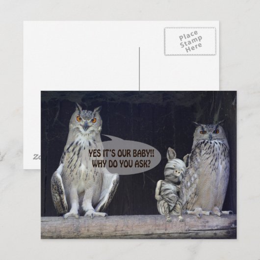 間抜け質問 ポストカード (正面/裏面)