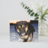 間抜け顔はがき ポストカード (スタンド正面)