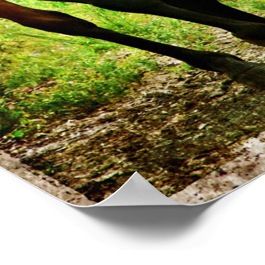 間抜け馬 ポスター (角)