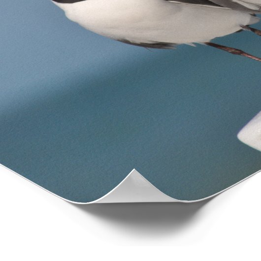 間抜け ポスター (角)