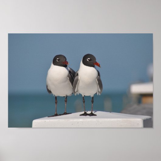 間抜け ポスター (正面)