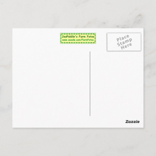 間抜け ポストカード (裏面)