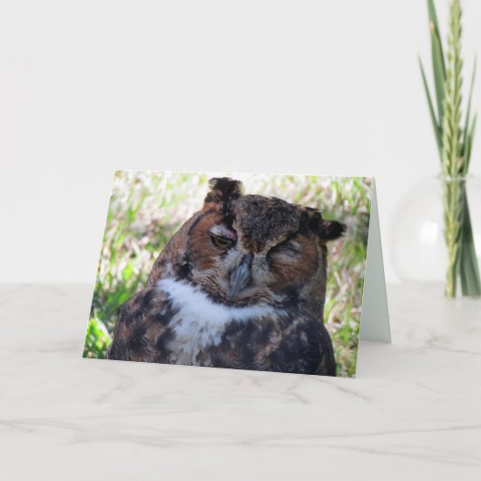 間抜けOwl Greeting Card カード (正面)