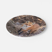 間近なアカギツネ ペーパープレート (アングル)