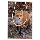 間近なアカギツネ ミディアムペーパーバッグ (裏面)