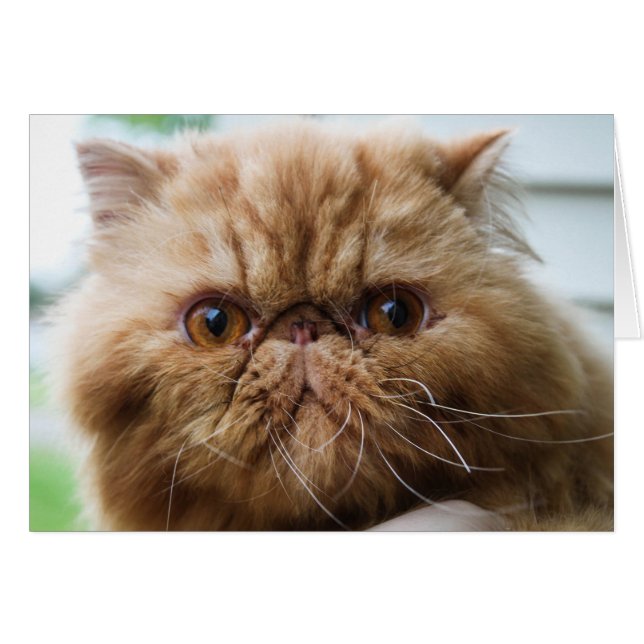 間近なWilford (正面横)