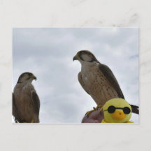 間違った場所の間違った時間