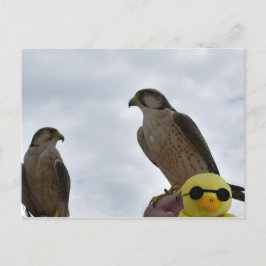 間違った場所の間違った時間 ポストカード