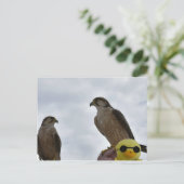 間違った場所の間違った時間 ポストカード (スタンド正面)