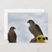 間違った場所の間違った時間 ポストカード (正面/裏面)