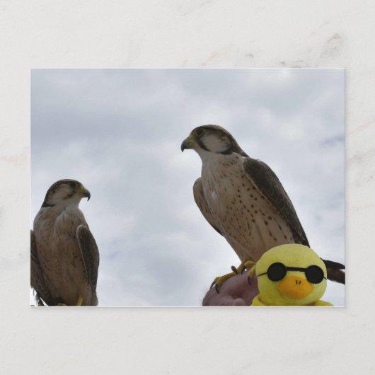 間違った場所の間違った時間 ポストカード (正面)