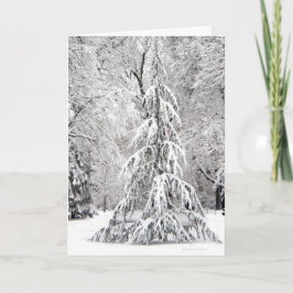 間違った場所の*Noの雪片の滝 シーズンカード