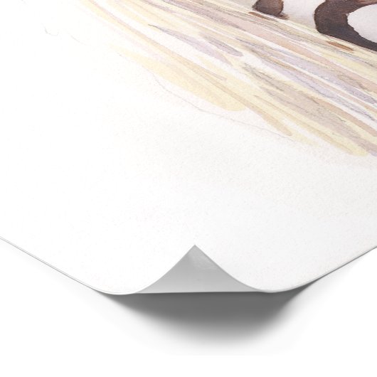 "間違った方法"ゼブラ野生動物の水色 ポスター (角)