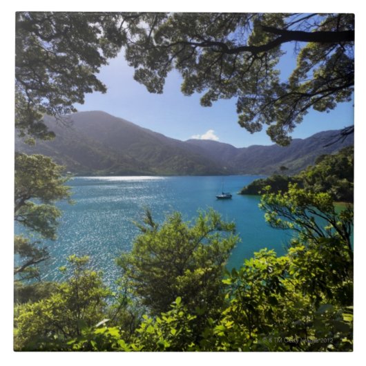 間隔のヨット タイル (正面)