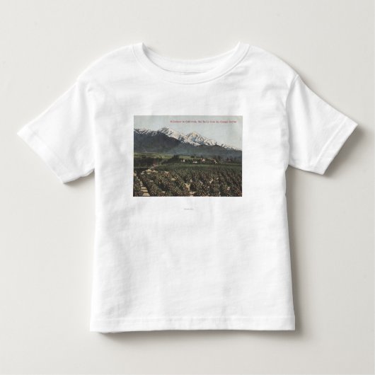 間隔の古いBaldy Mtのオレンジ果樹園 トドラーTシャツ (正面)