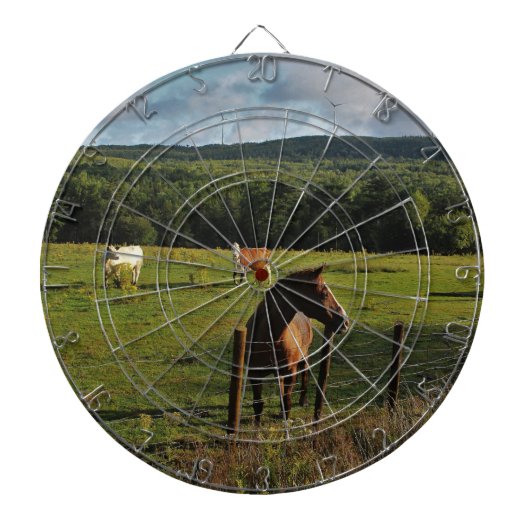 間隔の風車 ダーツボード (正面)