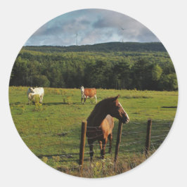 間隔の風車 ラウンドシール