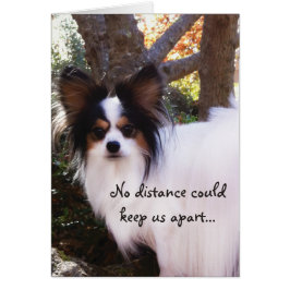 間隔はPapillon別のカード私達を保つことができませんでした