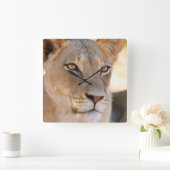 間隔調査している雌ジシのポートレート スクエア壁時計 (ホーム)