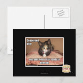 関係子猫 ポストカード (正面/裏面)