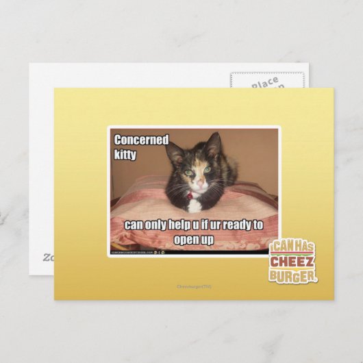 関係子猫 ポストカード (正面/裏面)