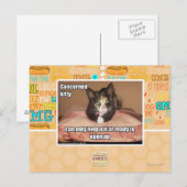 関係子猫 ポストカード (正面/裏面)