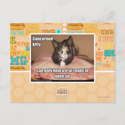 関係子猫 ポストカード (正面)