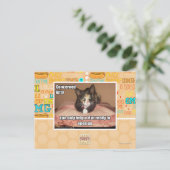 関係子猫 ポストカード (スタンド正面)
