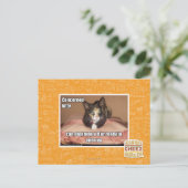 関係子猫 ポストカード (スタンド正面)