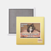 関係子猫 マグネット (正面/裏面)