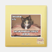 関係子猫 マグネット (正面)