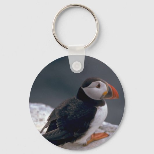 関節フラテルキュラ・プフィン キーホルダー (正面)