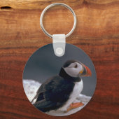 関節フラテルキュラ・プフィン キーホルダー (正面)