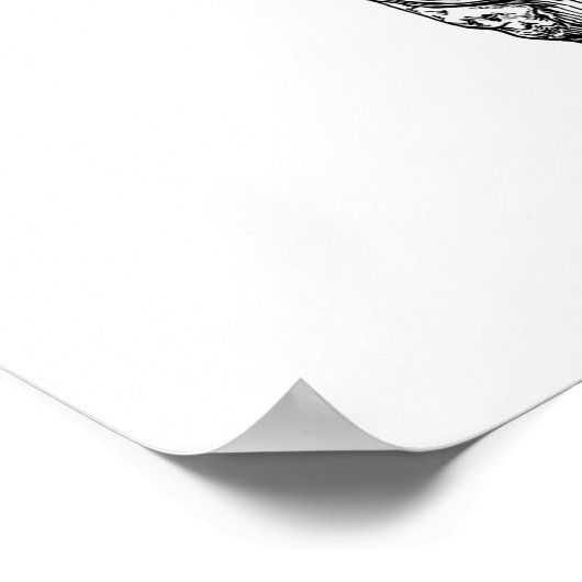 関節骨盤 ポスター (角)