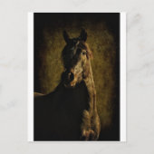 闇から ポストカード (正面)