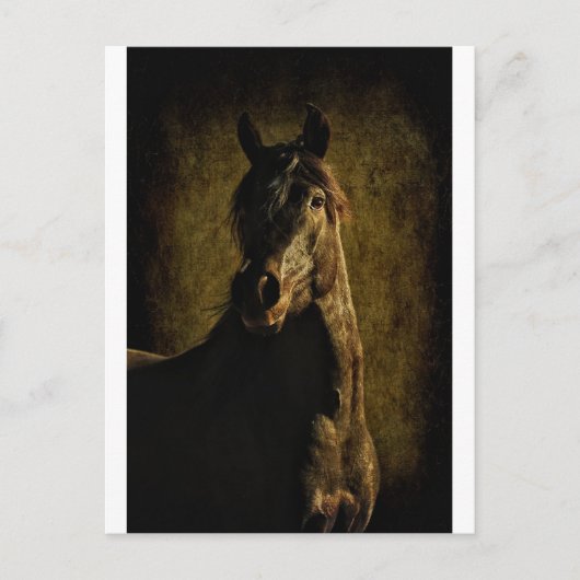 闇から ポストカード (正面)