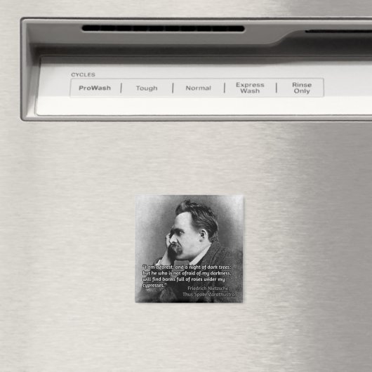 闇に対するニーチェの引用 マグネット (インサイチュ (食洗機))