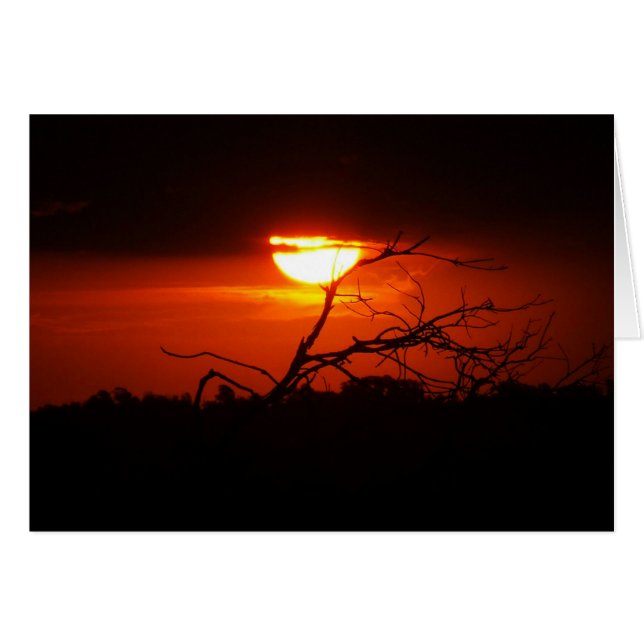 闇のカードの間に (正面横)