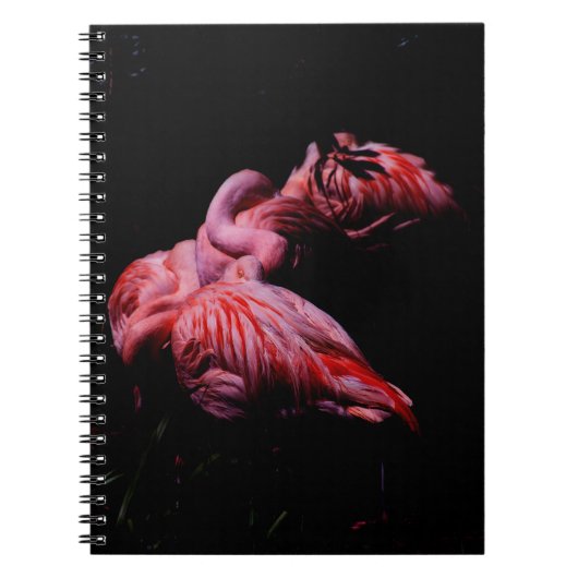 闇の炎 ノートブック (正面)