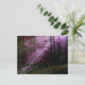 『闇の葉書』 ポストカード (スタンド正面)