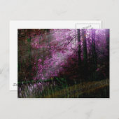 『闇の葉書』 ポストカード (正面/裏面)