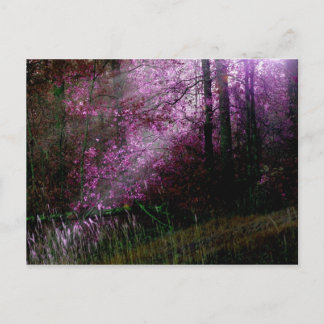 『闇の葉書』 ポストカード